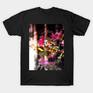 red Malus 'Radiant' crab apple blossoms #3 T-Shirt